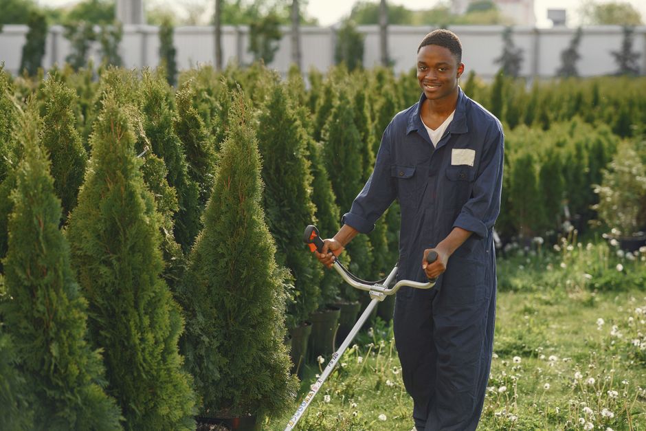 Friendly landscaper working on a garden design project